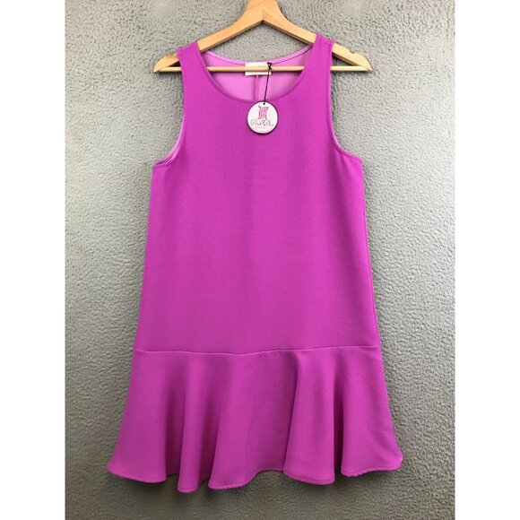 New Everly Sleeveless Fuchsia Flounce Hem Dress size S - Picture 1 of 10